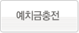예치금충전